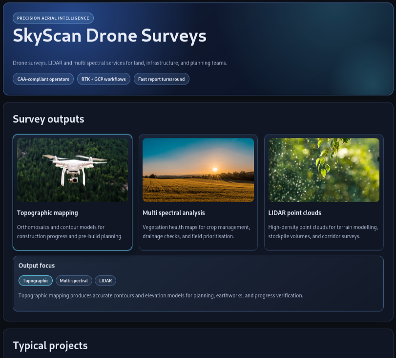 Preview of drone services demo page